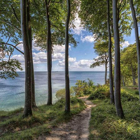 Villa Fernsicht - Wohnung Nr 1 - Mit Meerblick Sassnitz Eksteriør billede